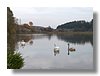 c_PA281755.jpg
