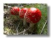 P8276383.jpg