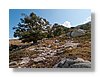P9139843.JPG