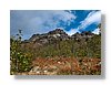 P9169888.JPG