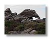 P9220120.JPG