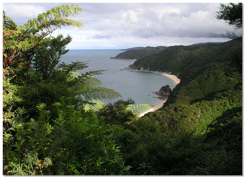 at-coast-13x18.jpg
