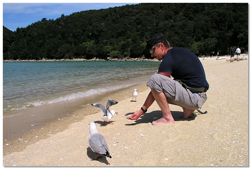 at-seagulls-10x15.jpg
