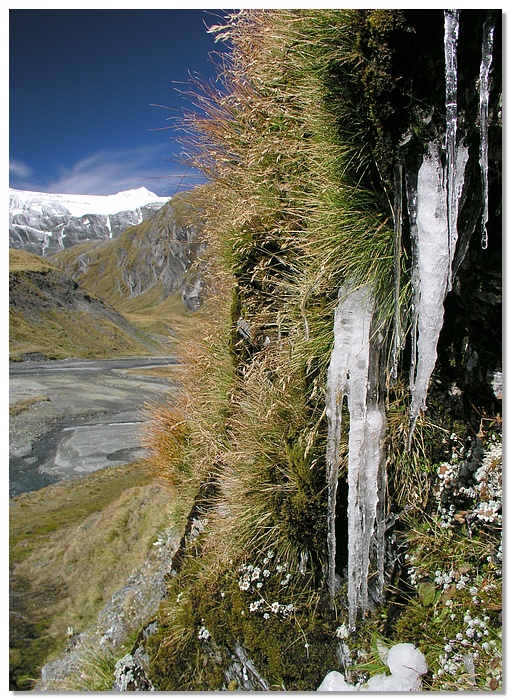 cs-icicles-13x18.jpg