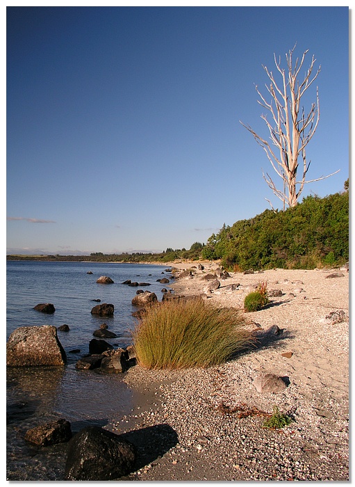 manapouri-beach-dusk2-13x18.jpg