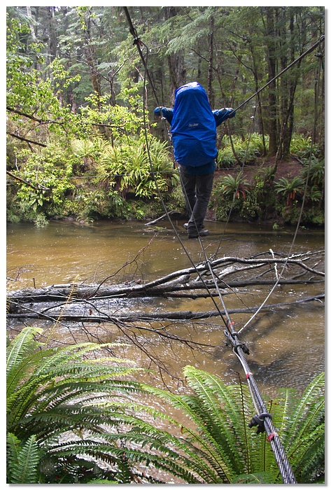 manapouri-walkwire-10x15.jpg
