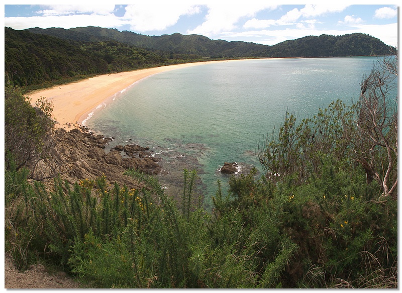 pano-abel-tasman-beach-13x18.jpg