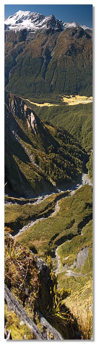 pano-cs-vert.jpg