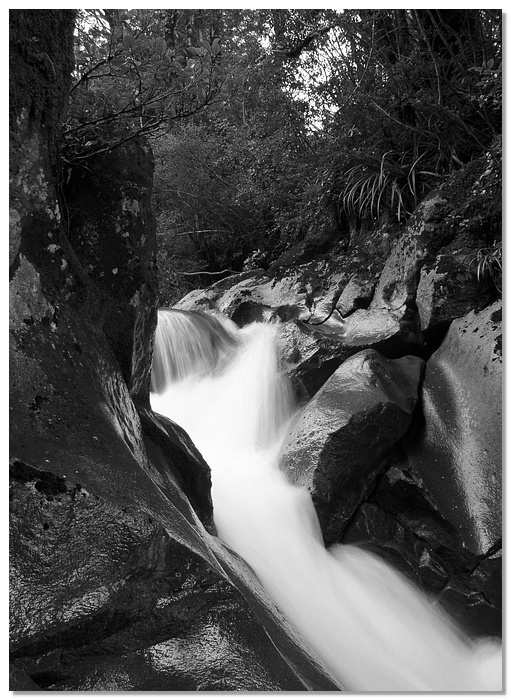 tgr-stream-bw-13x18.jpg
