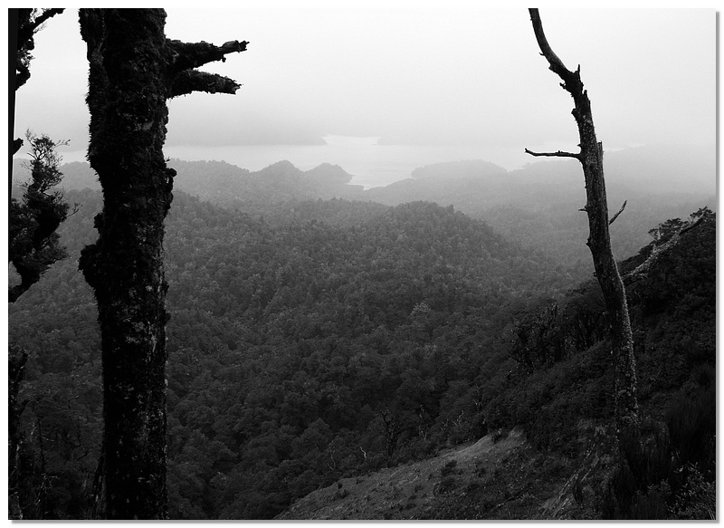 wkrm-fog-bw-13x18.jpg