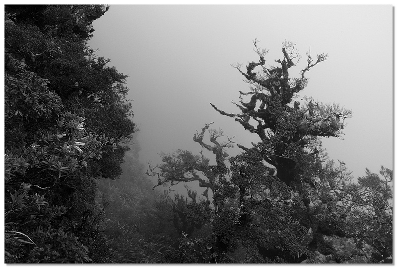 wkrm-fog2-10x15.jpg