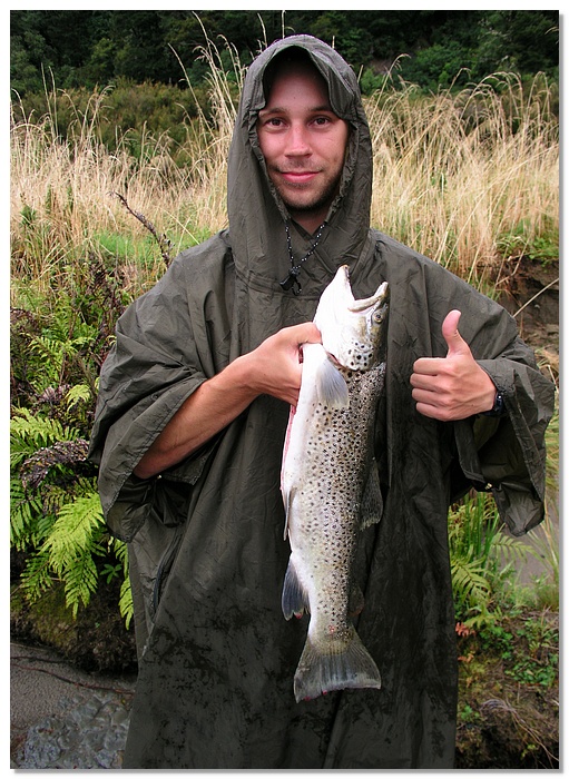 wkrm-trout-13x18.jpg