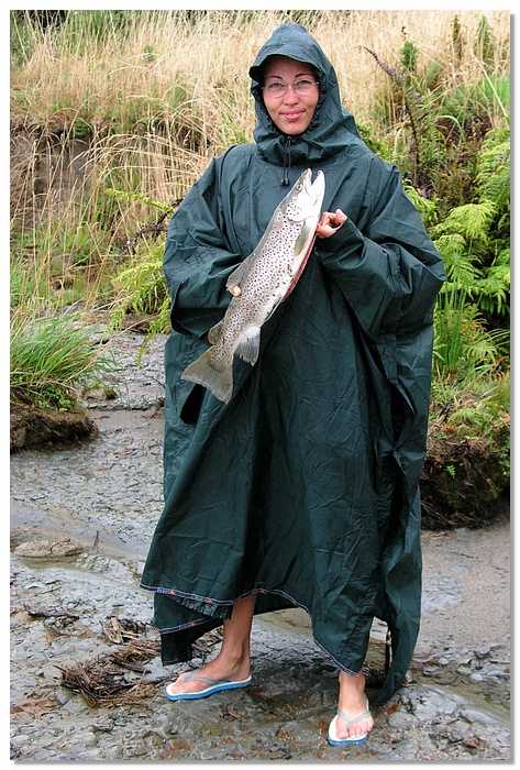 wkrm-trout-niki-10x15.jpg