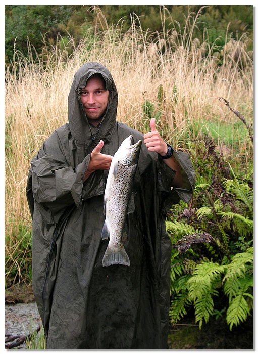 wkrm-trout2-13x18.jpg