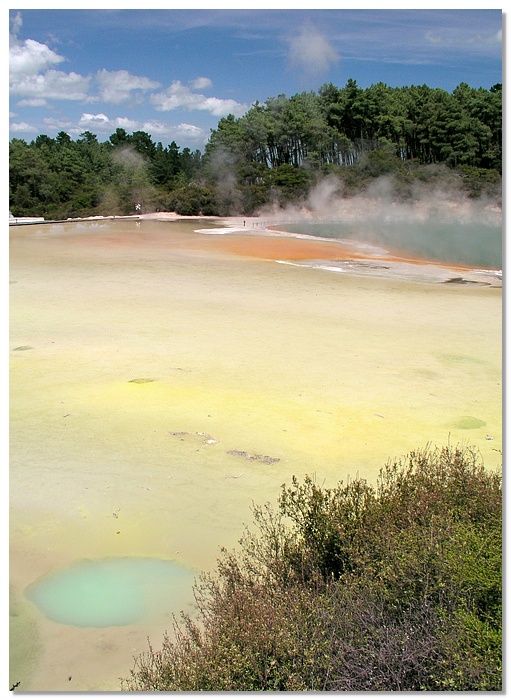 wot-palette-13x18.jpg