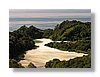 at-beach-3-13x18.jpg
