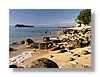 at-beach1-13x18.jpg