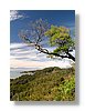 at-beach2-13x18.jpg