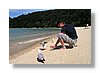 at-seagulls-10x15.jpg