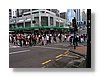 auck-crossing-13x18.jpg