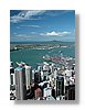 auckland1-13x18.jpg