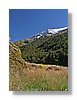 cs-dart-blend1-13x18.jpg