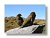 cs-keas-13x18.jpg