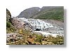 fox-glacier-10x15.jpg