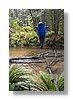 manapouri-walkwire-10x15.jpg