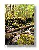 nl-potok2-13x18.jpg
