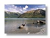 nl-rotoiti2-13x18.jpg