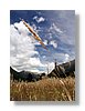 nl-steblo-13x18.jpg