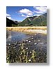 nl-travers-13x18.jpg