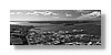 pano-auckland-bw-13x33.jpg