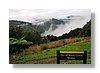 qch-sounds3-10x15.jpg