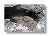 rotorua-mud-10x15.jpg