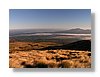 tgr-dawn-13x18.jpg