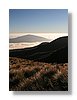 tgr-dawn2-13x18.jpg