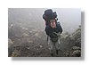 tgr-lada-fog-10x15.jpg