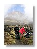 tgr-ngauruhoe-13x18.jpg