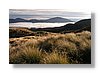 tgr-rotoaira-dawn-13x18.jpg