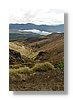 tgr-valley-10x15.jpg