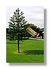 wanaka-puzzlingworld2-10x15.jpg