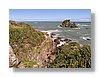 wc-baby-seals2-13x18.jpg