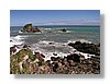 wc-coast-13x18.jpg