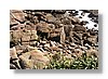wc-seal-colony-10x15.jpg