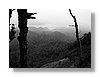 wkrm-fog-bw-13x18.jpg
