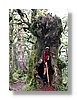 wkrm-tree-13x18.jpg