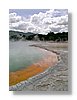 wot-champagne-13x18.jpg