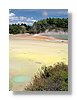 wot-palette-13x18.jpg